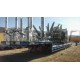 5 dingilli jumbo dorse